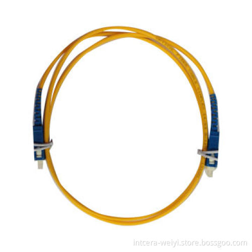 INT-SC/PC-SC/PC-SM-SM-3.0mm-1M patch cord